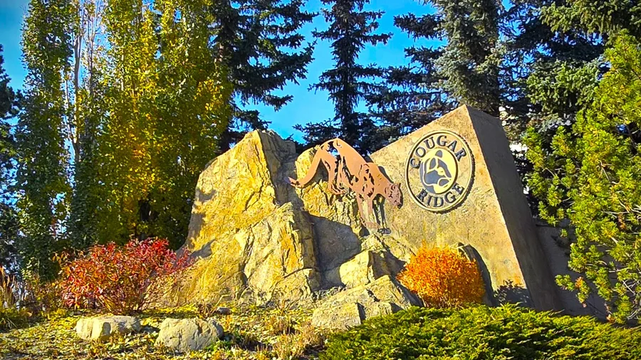 Cougar Ridge homes for sale — Calgary, Alberta neighbourhood photo