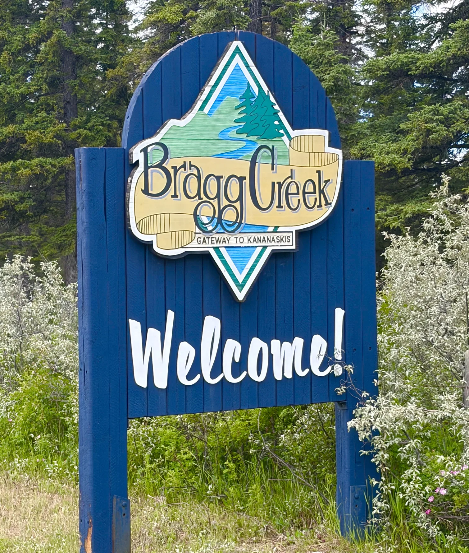 Bragg Creek woodland near Cochrane, Alberta