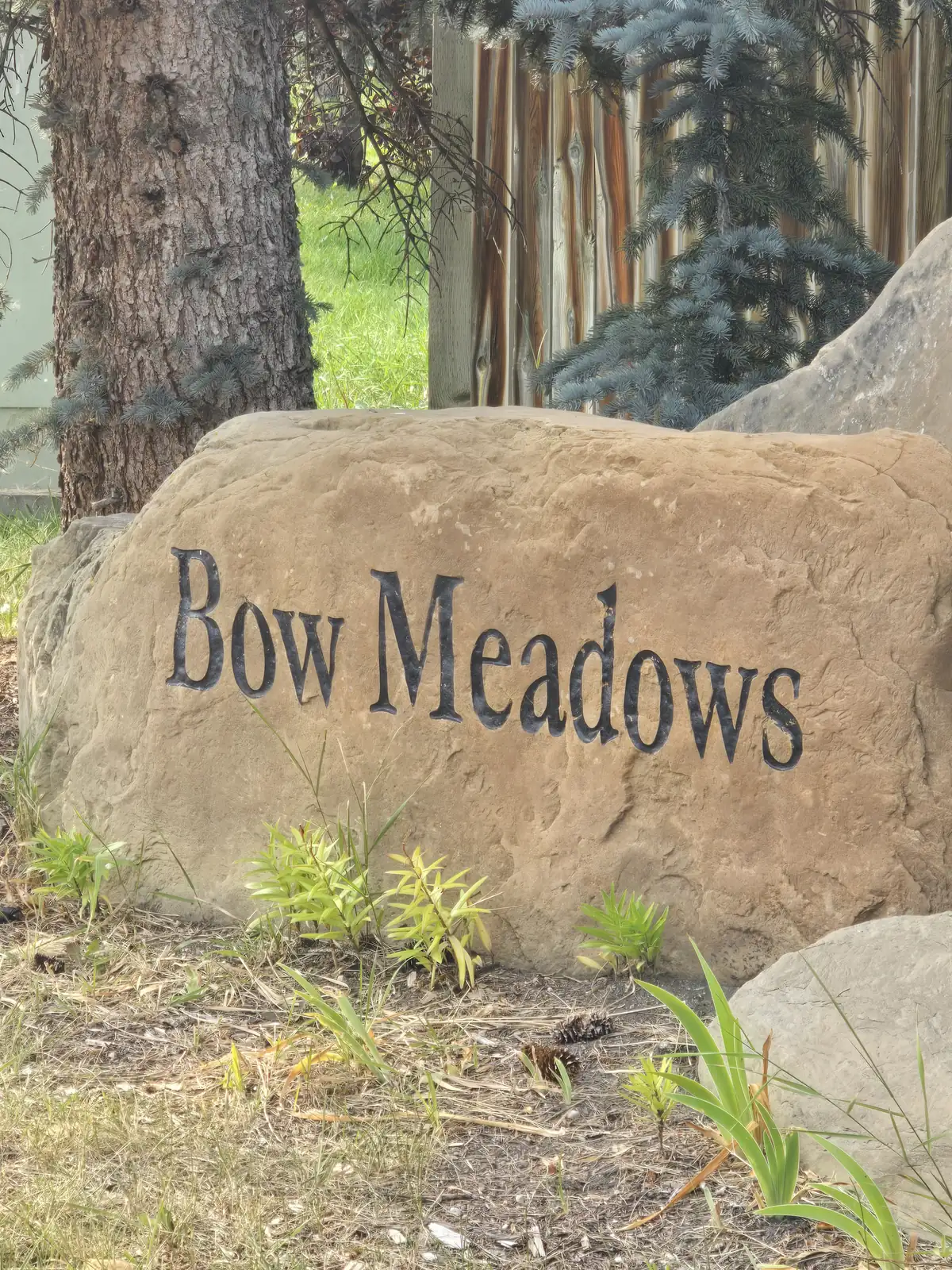 Bow Meadows, Cochrane Alberta homes for sale